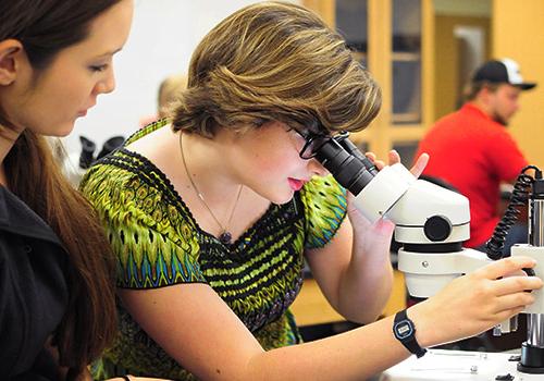 Students looking through a microscope